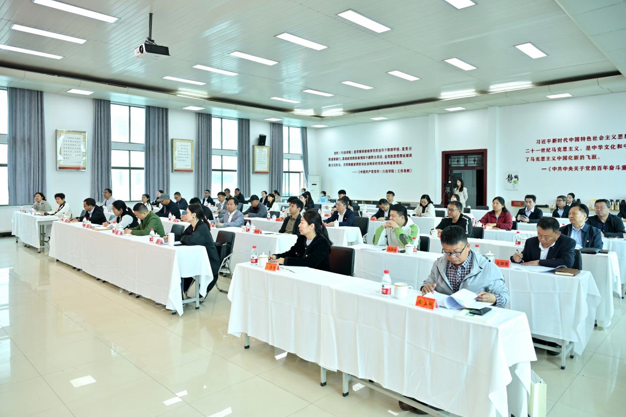 新安系统会议2.jpg